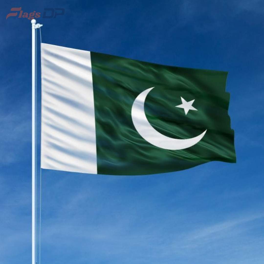 [100+] Top Pakistan Flag DP Collection for Social Media – Download Now Free