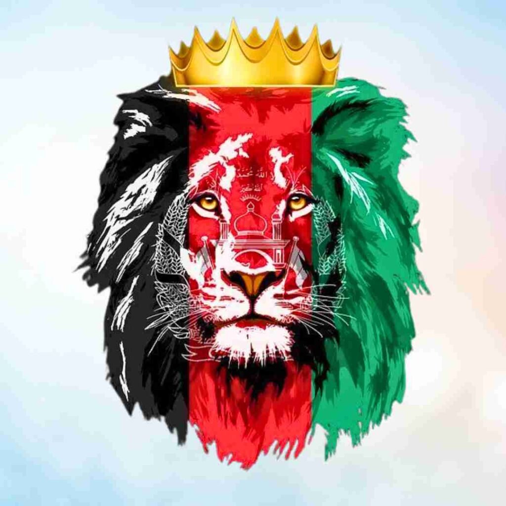 Afghanistan Flag DP Photos