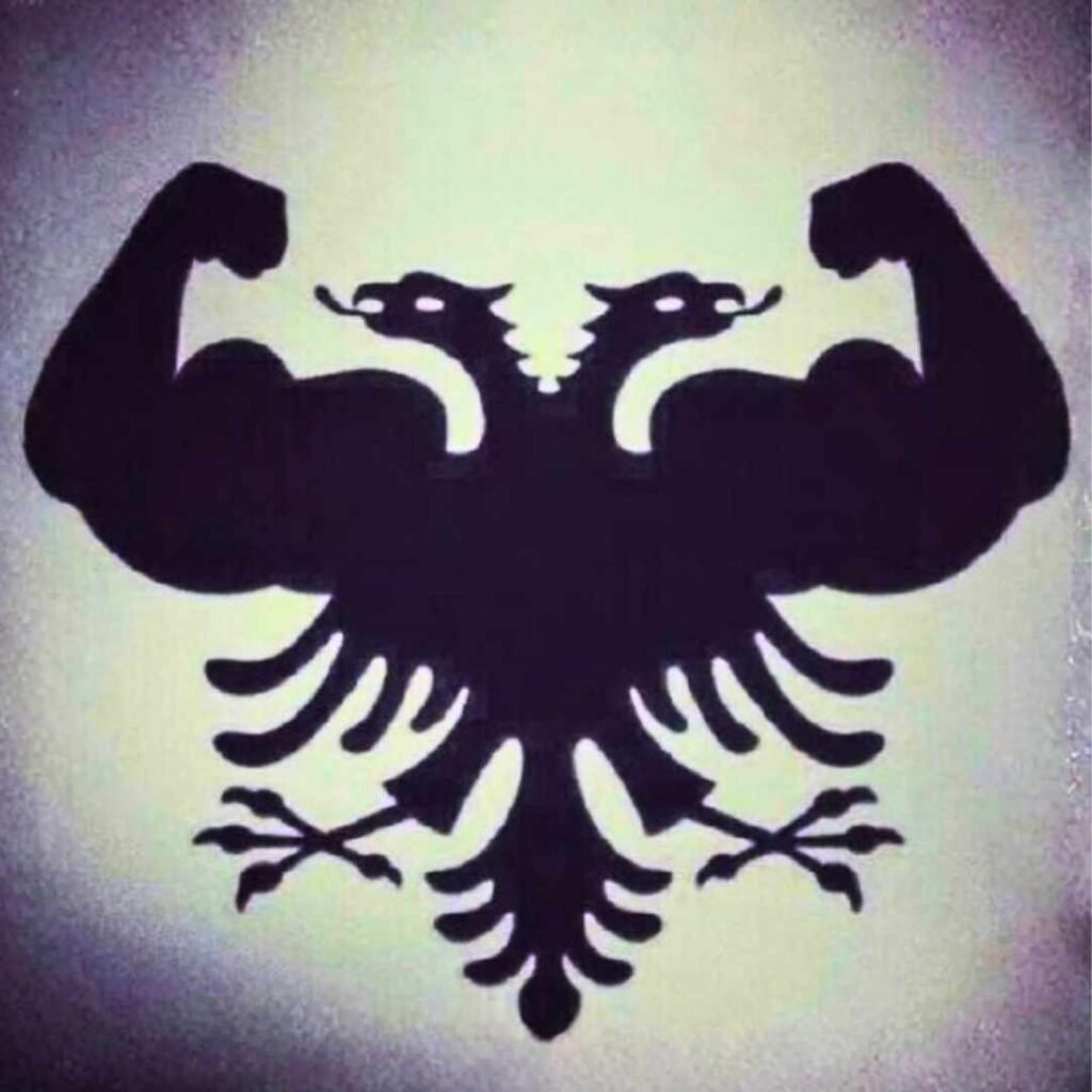 Albania Flag DP Photos