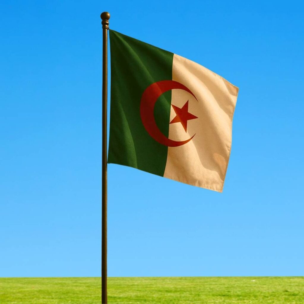 Algeria Flag DP