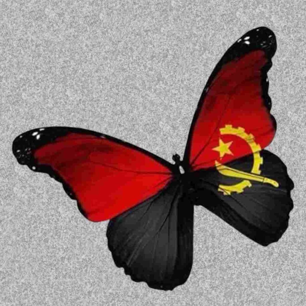 Angola Flag DP