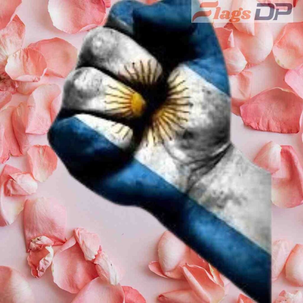 Argentina Flag DP Pics