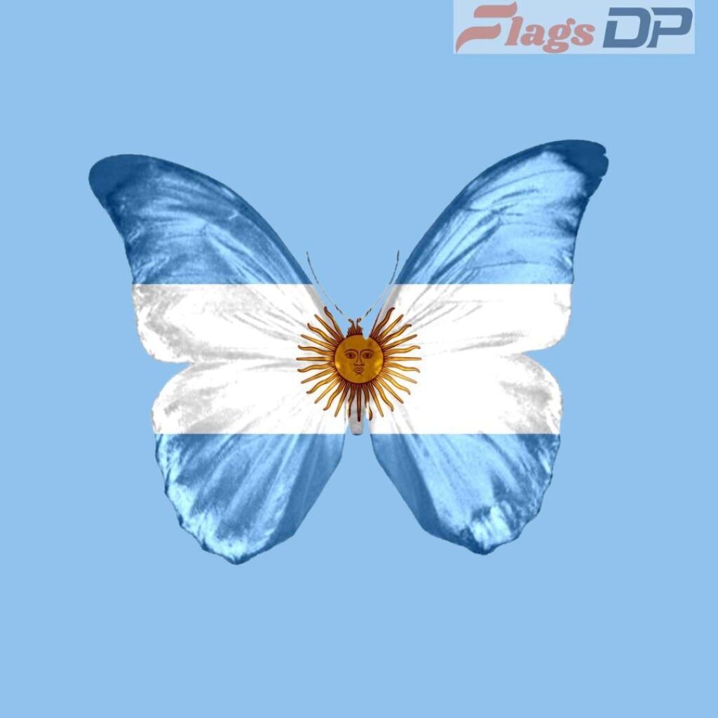 Argentina Flag DP Pics
