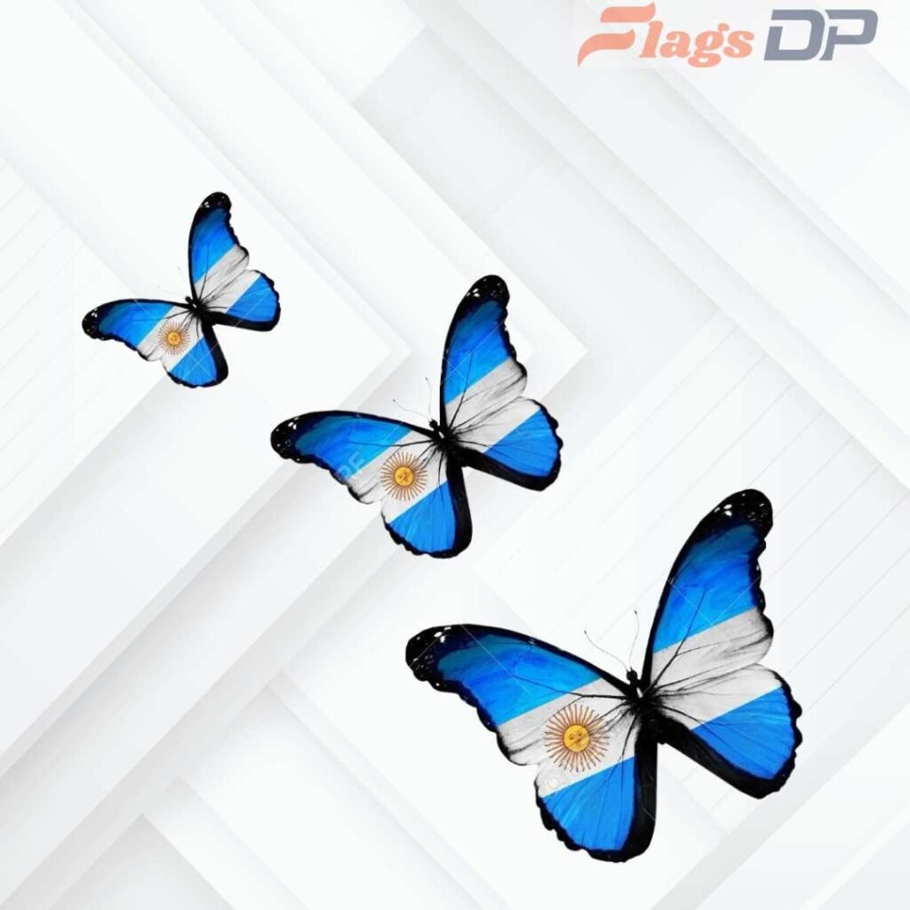 Argentina Flag DP Pics