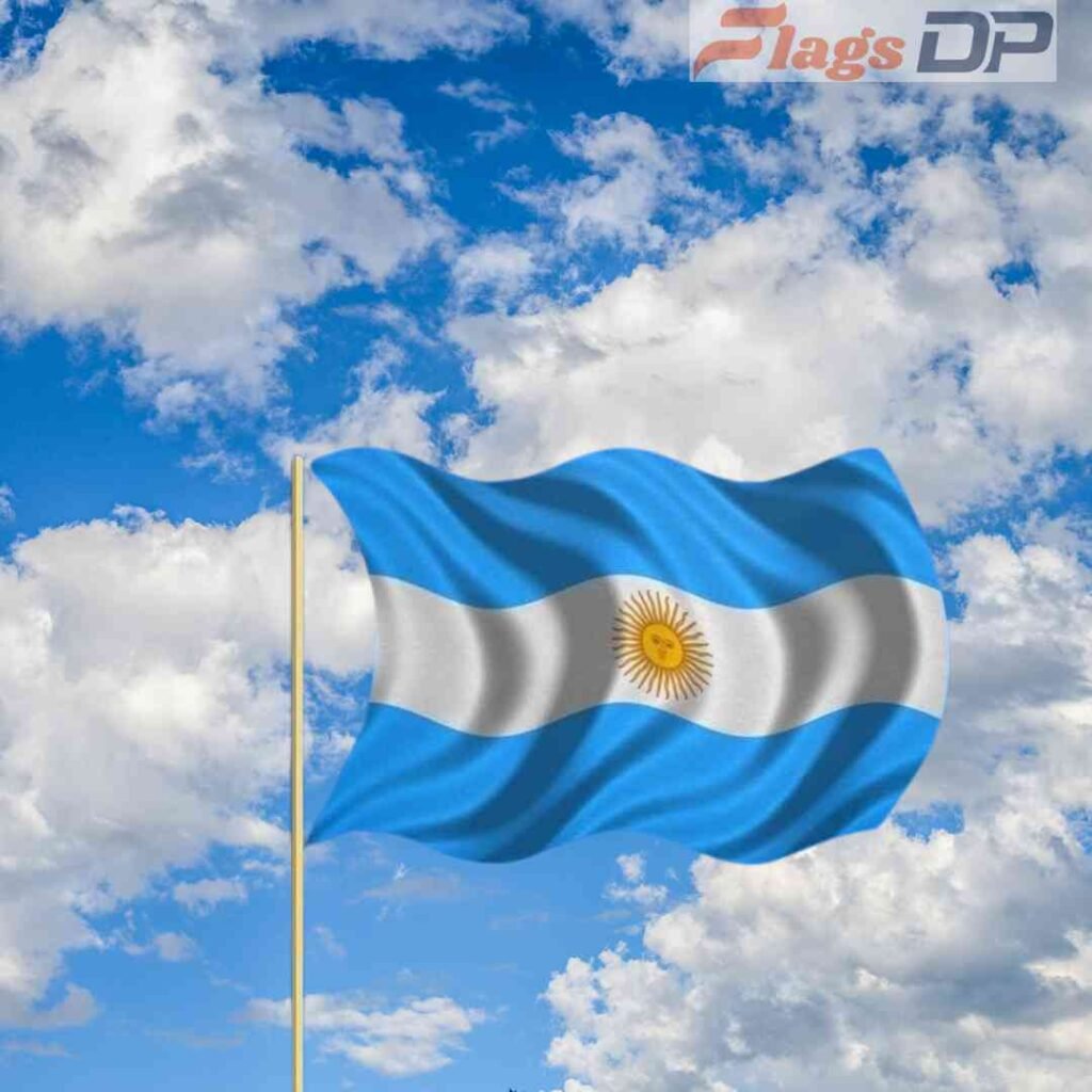 Argentina Flag DP
