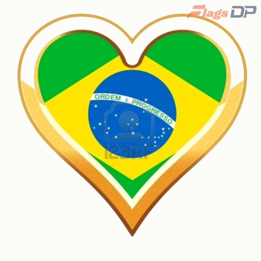 Brazil Flag DP