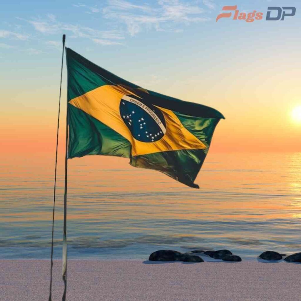 Brazil Flag DP Pics