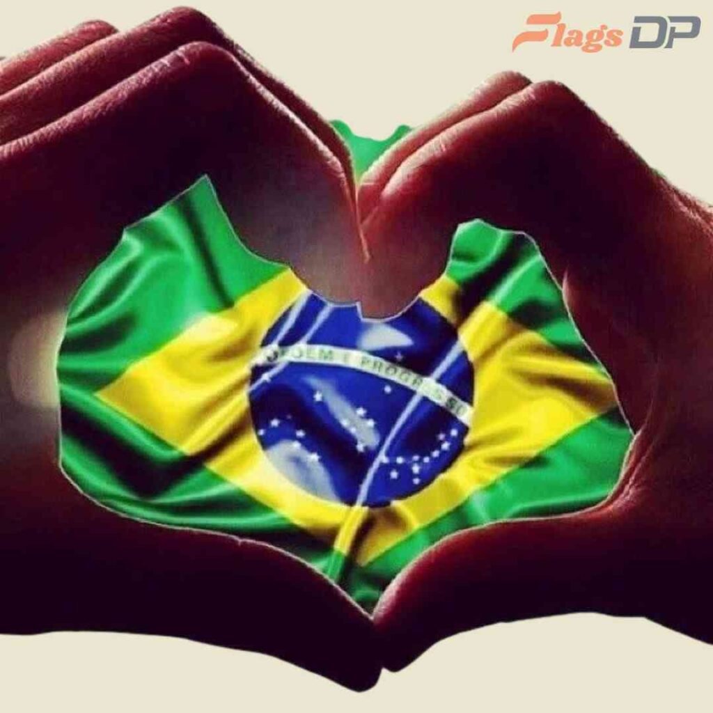 Brazil Flag DP Pics
