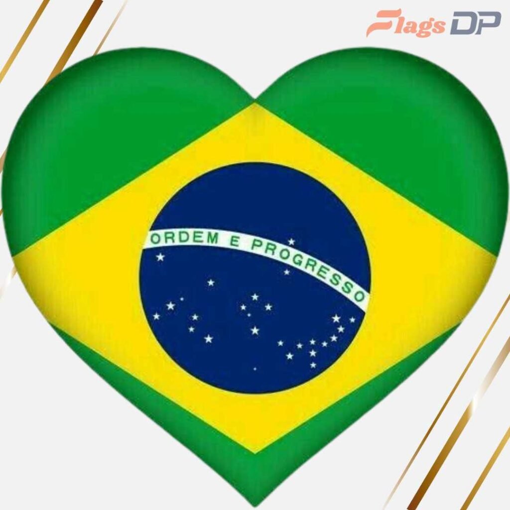 Brazil Flag DP Pics
