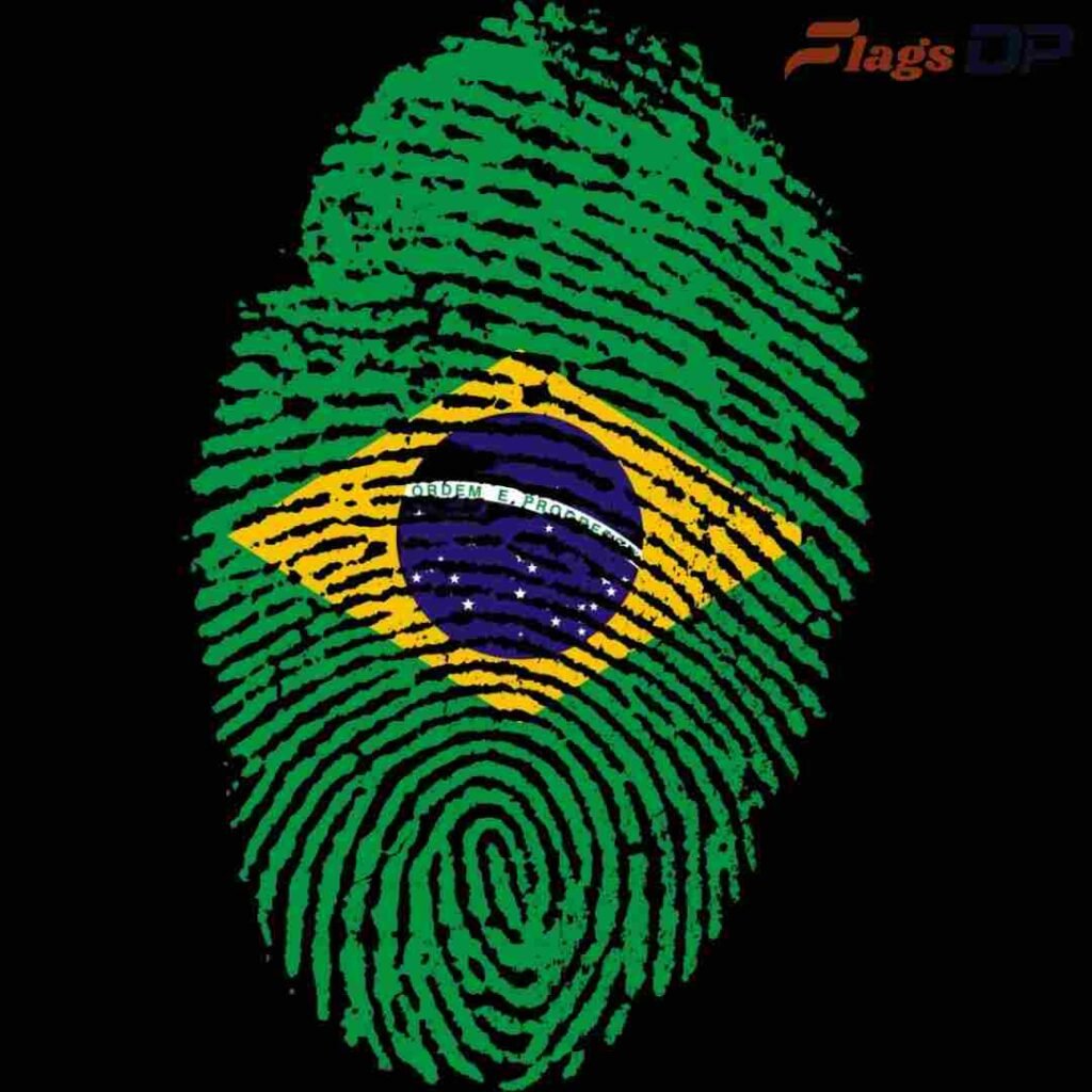 Brazil Flag DP Pics