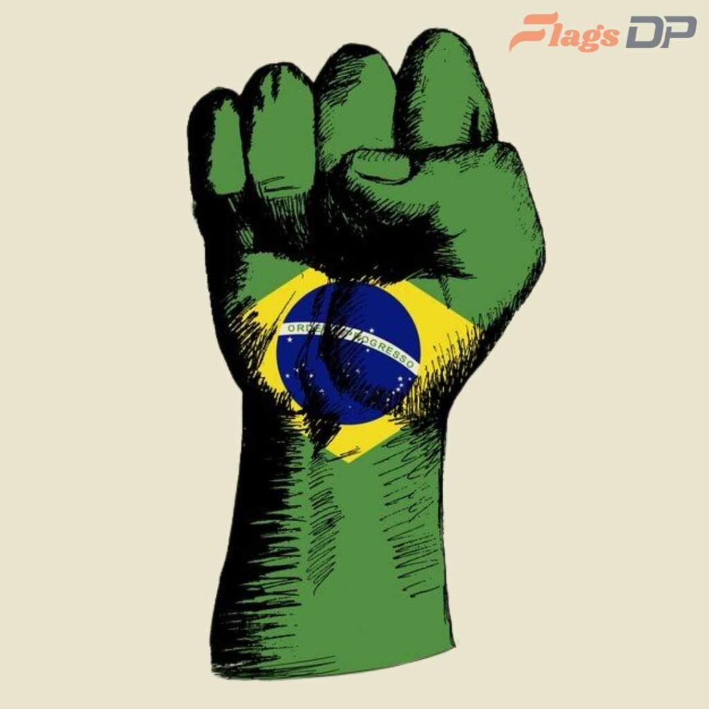 Brazil Flag DP Pics