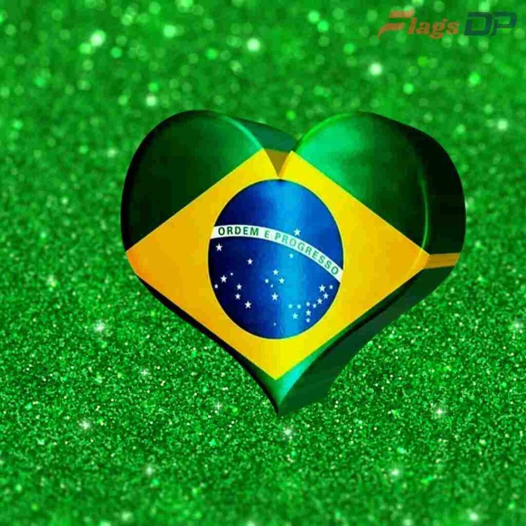 Brazil Flag DP Pics