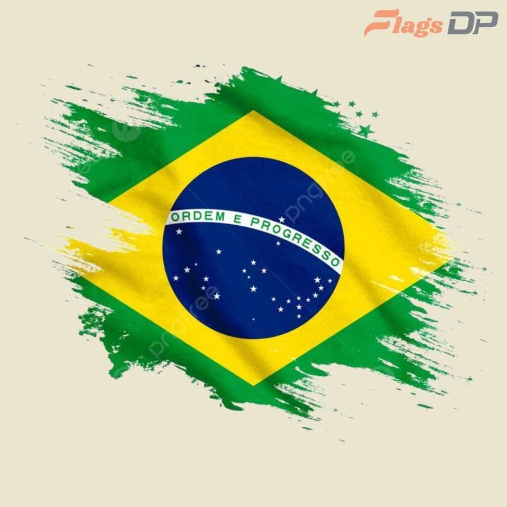 Brazil Flag DP Pics