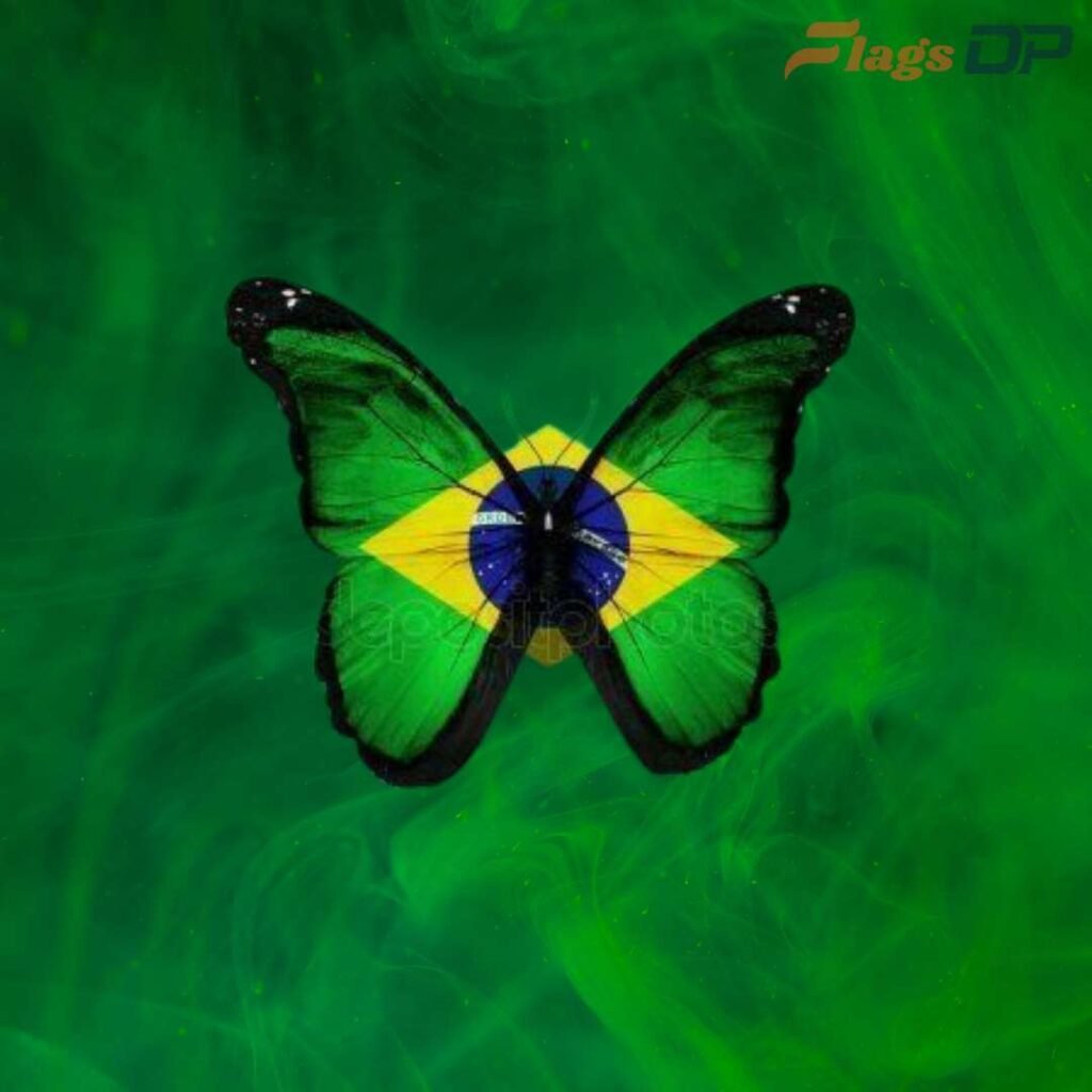 Brazil Flag DP