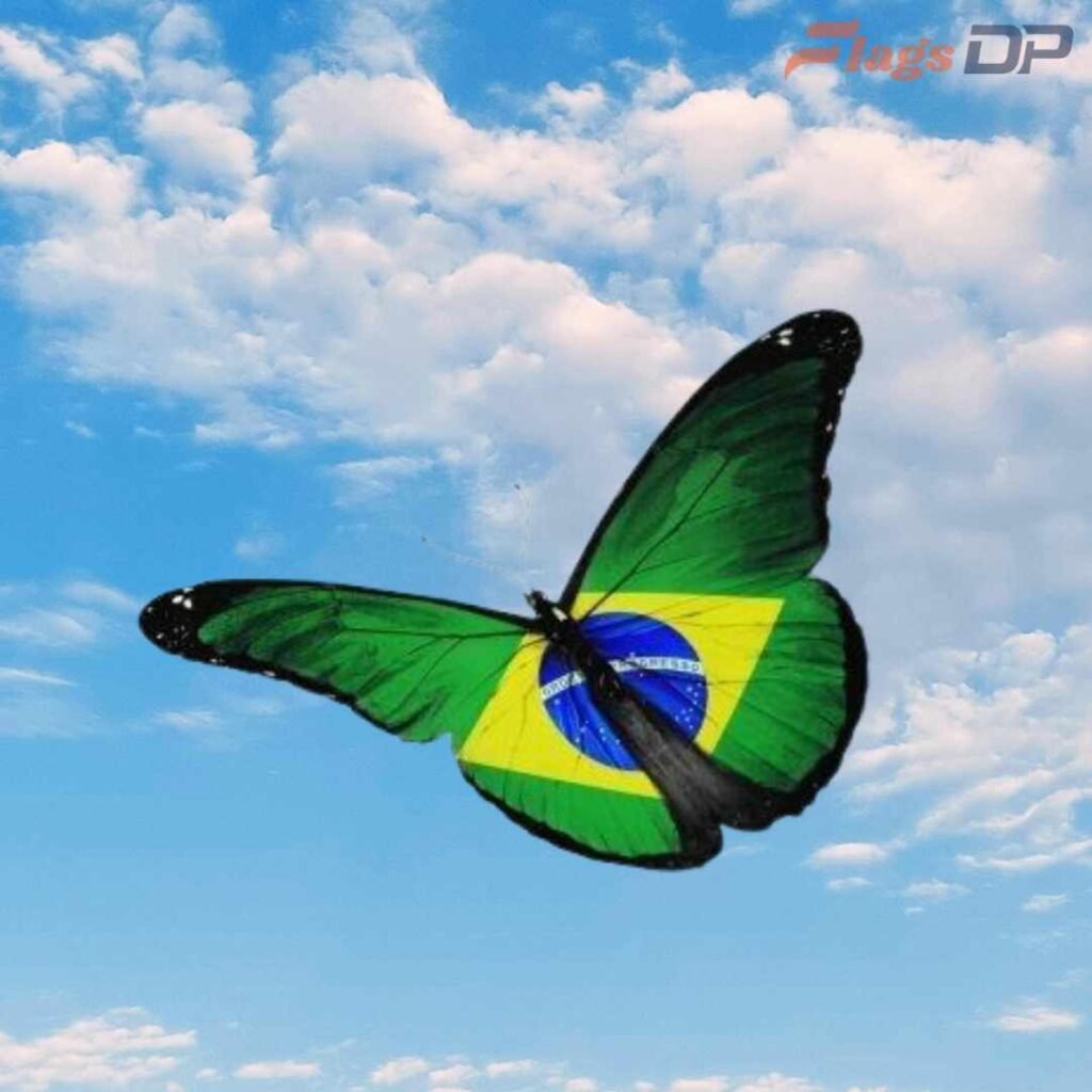 Brazil Flag DP