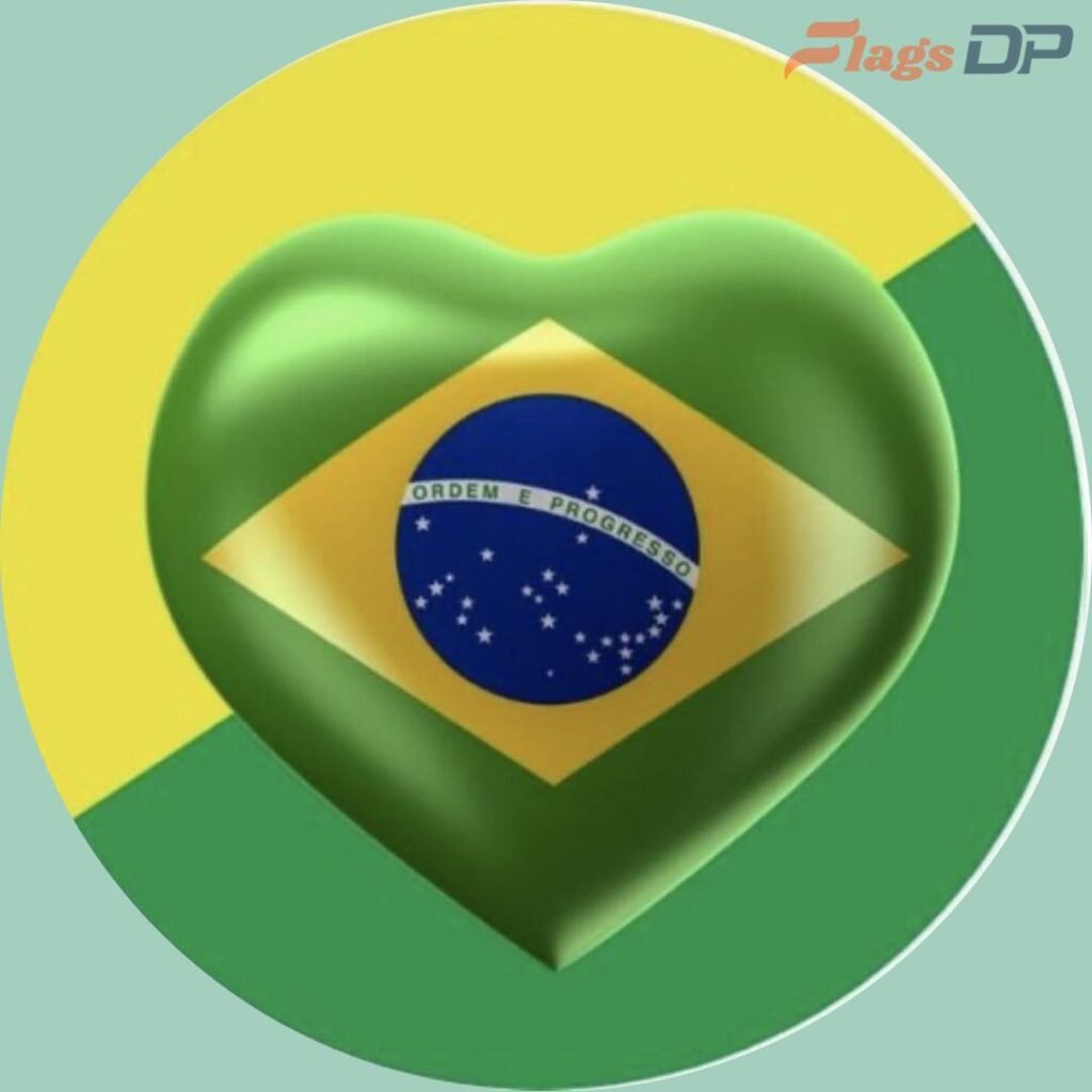 Brazil Flag DP