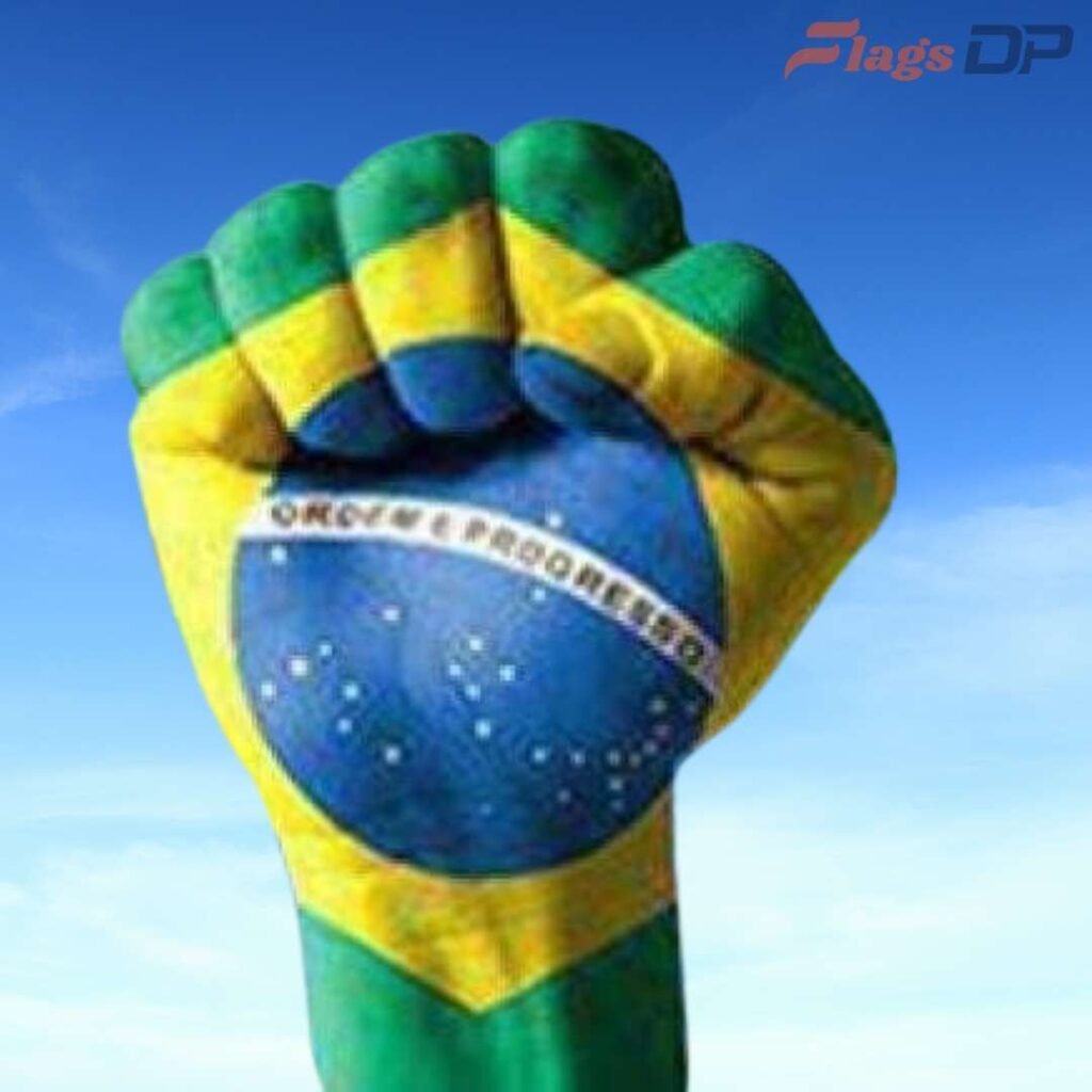 Brazil Flag DP