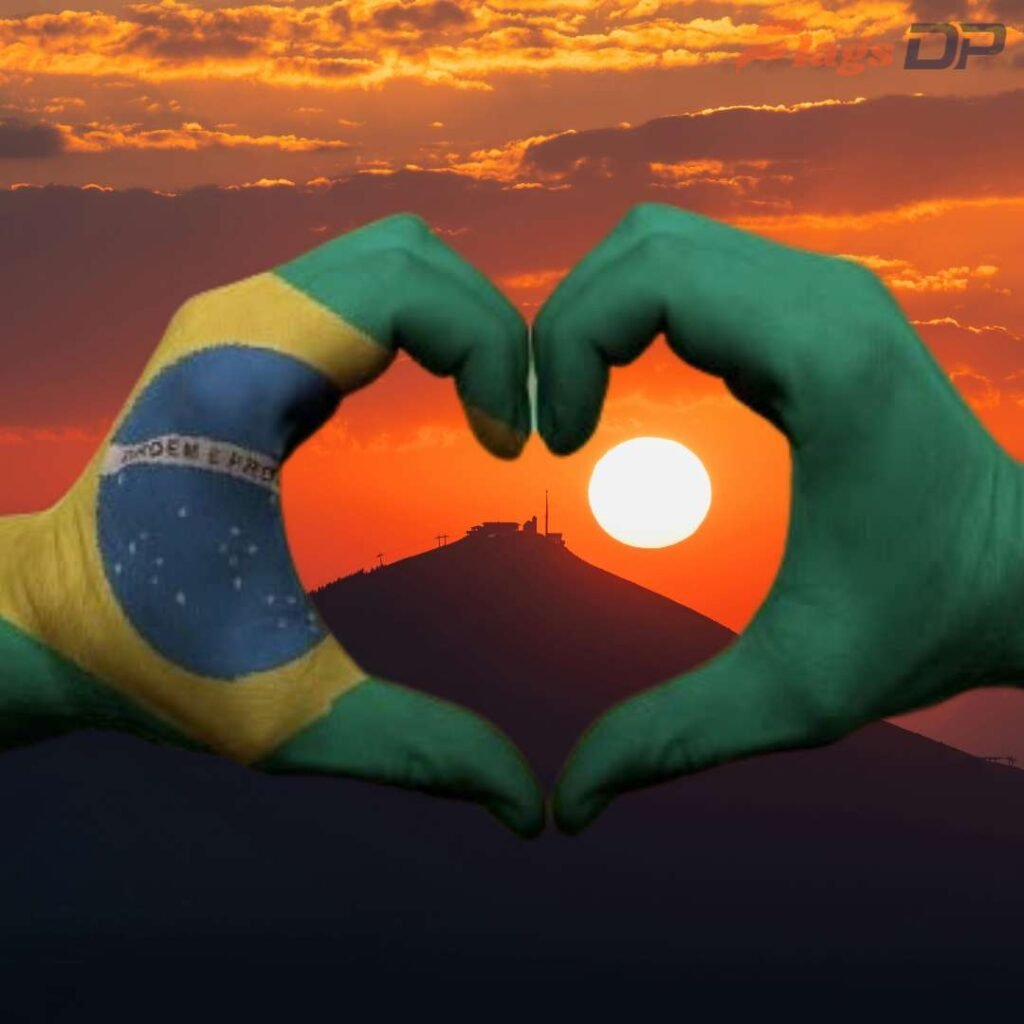 Brazil Flag DP