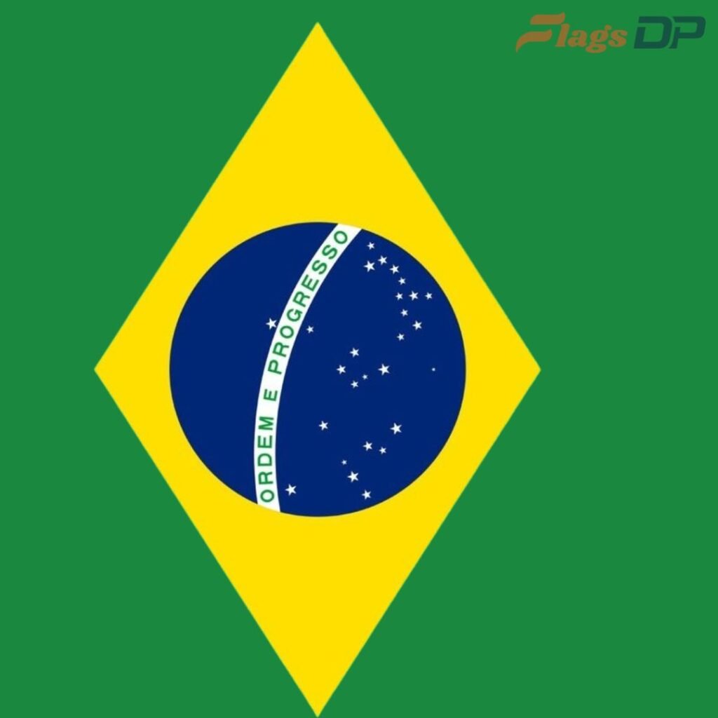 Brazil Flag DP