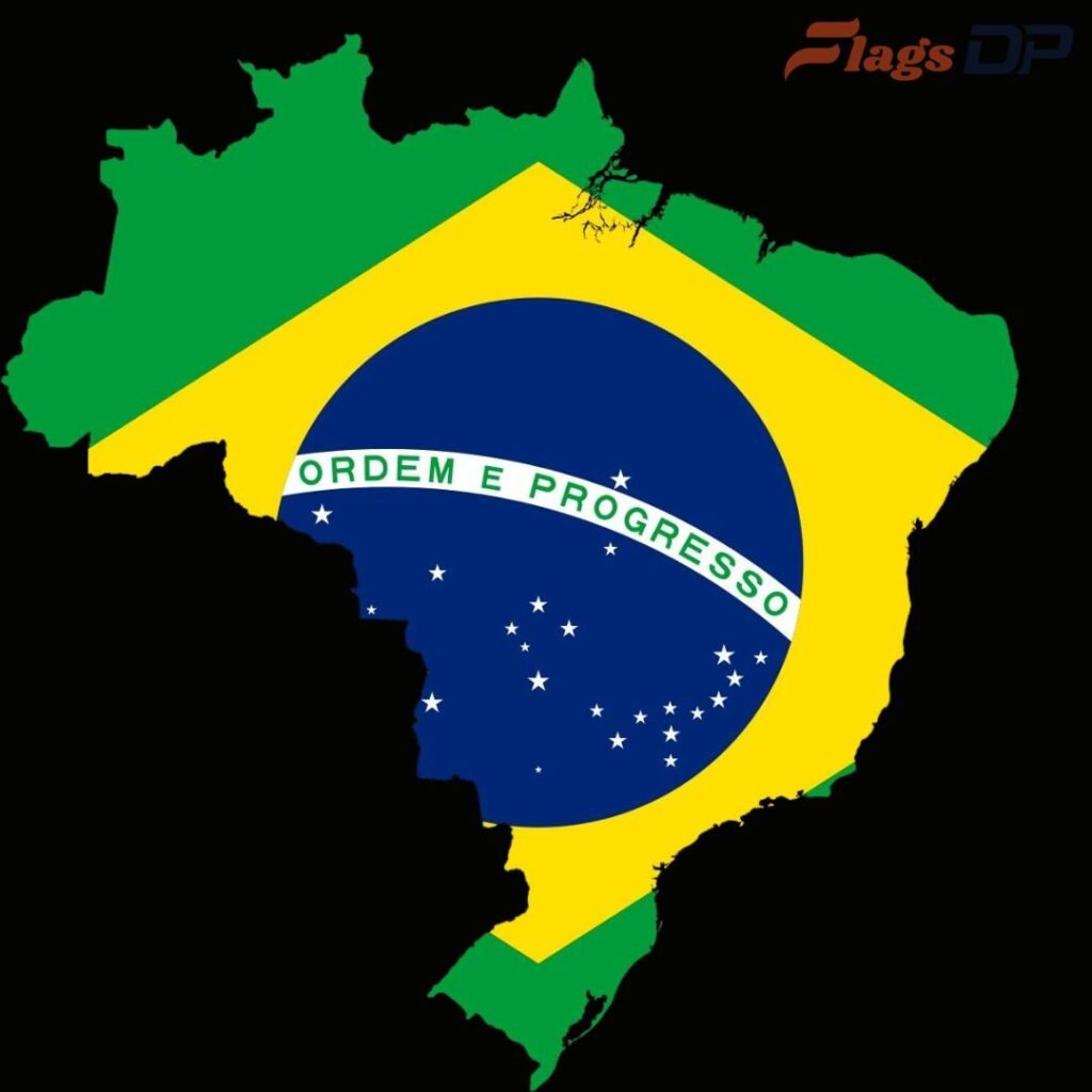 Brazil Flag DP
