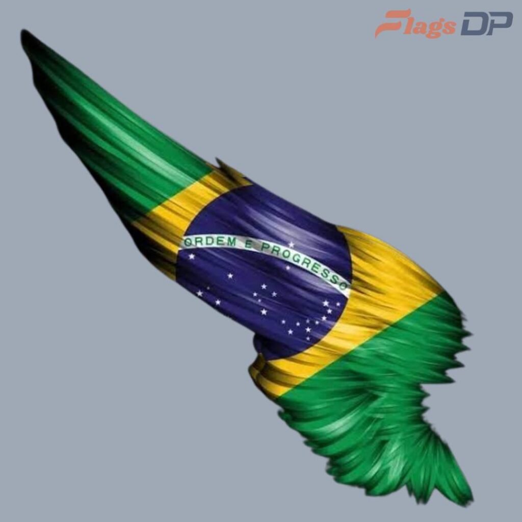 Brazil Flag DP