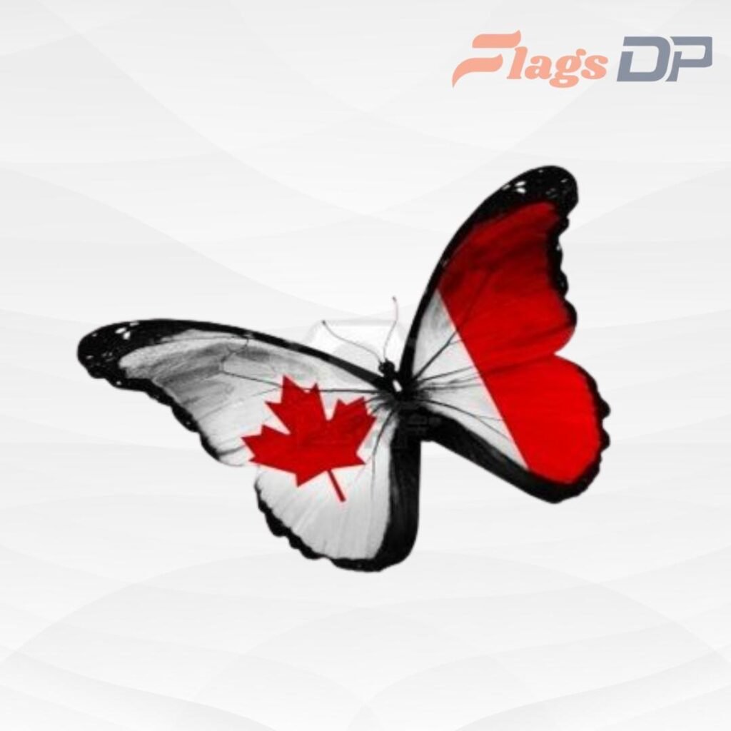 Canada Flag DP