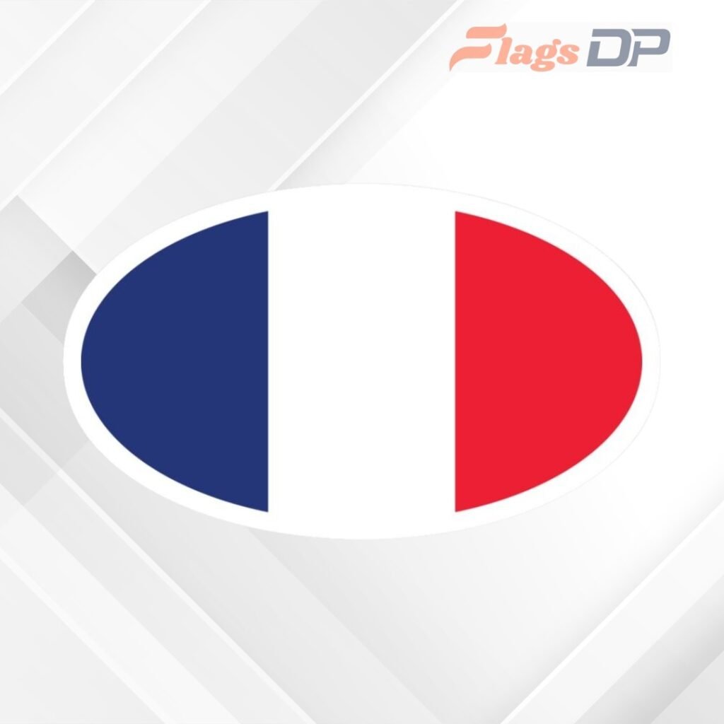 France Flag DP