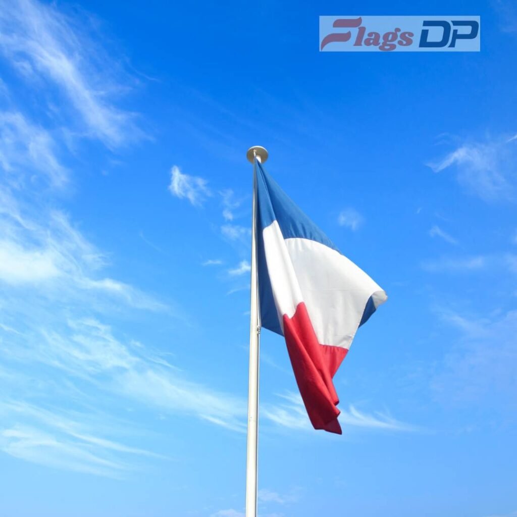 France Flag DP Pics