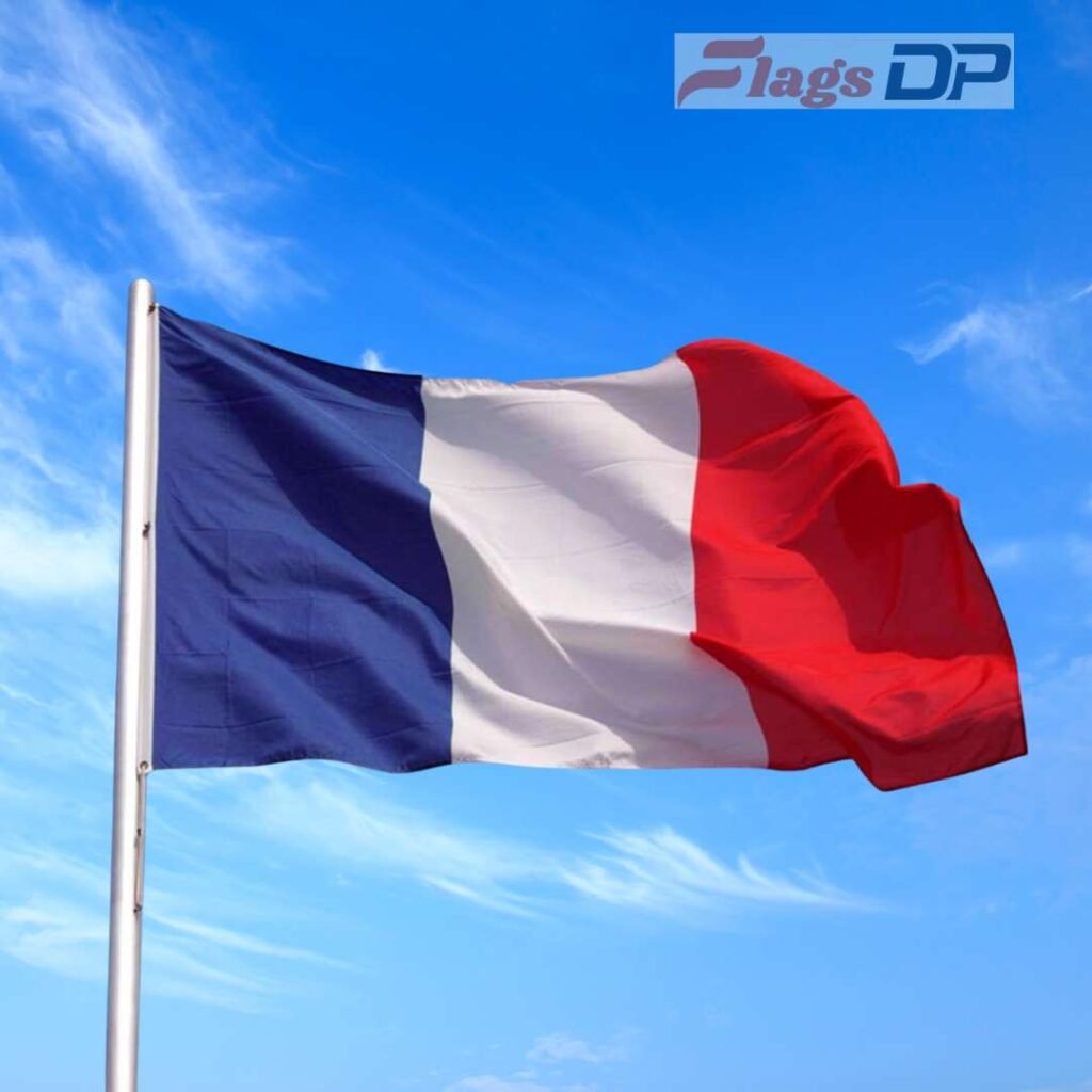 France Flag DP Photos