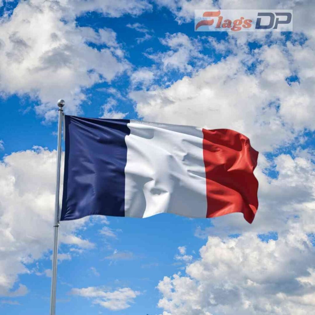 France Flag DP Pics