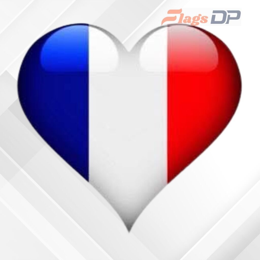France Flag DP Pics