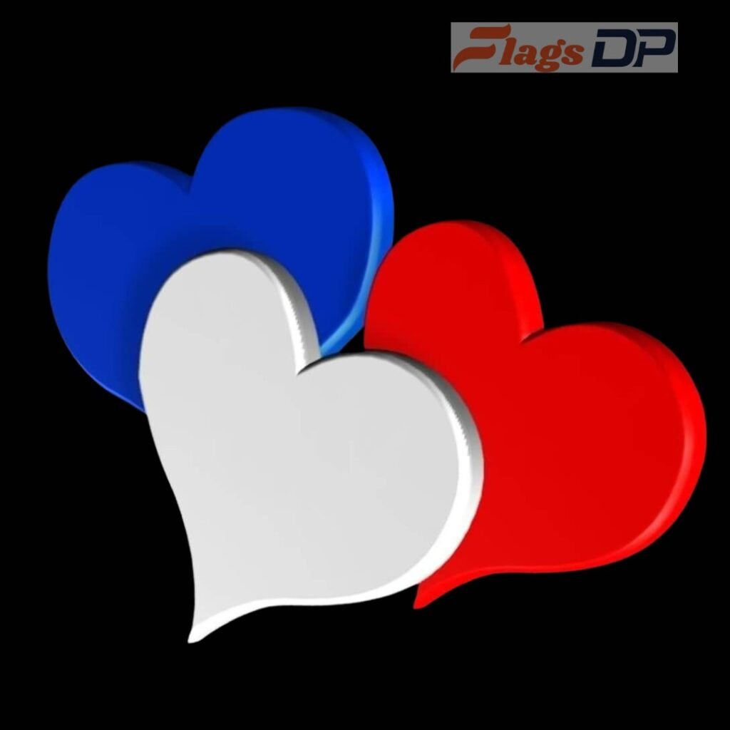 France Flag DP Pics