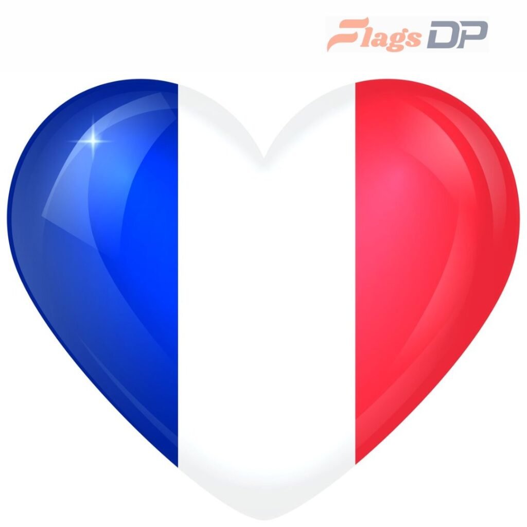France Flag DP Pics