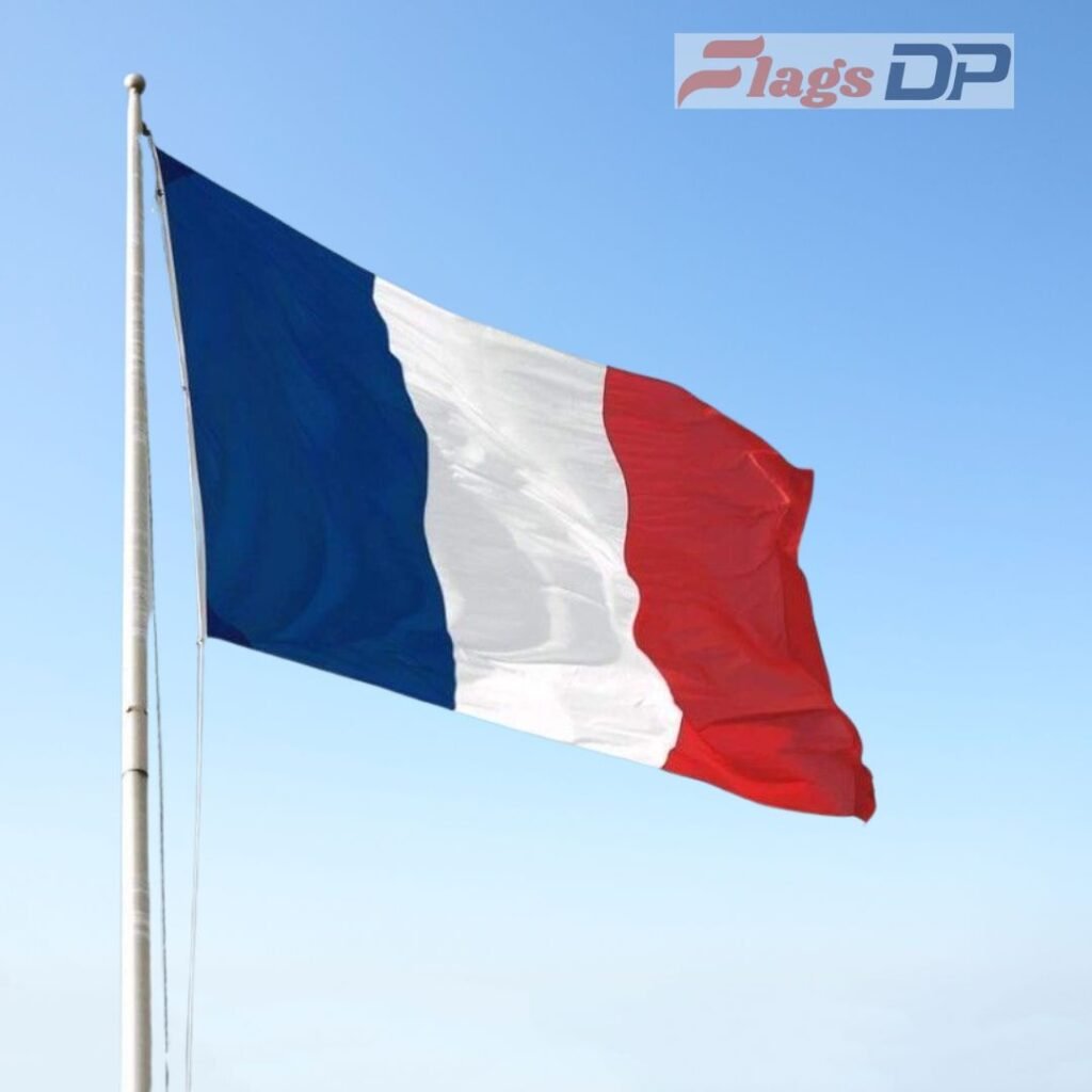 France Flag DP Pics