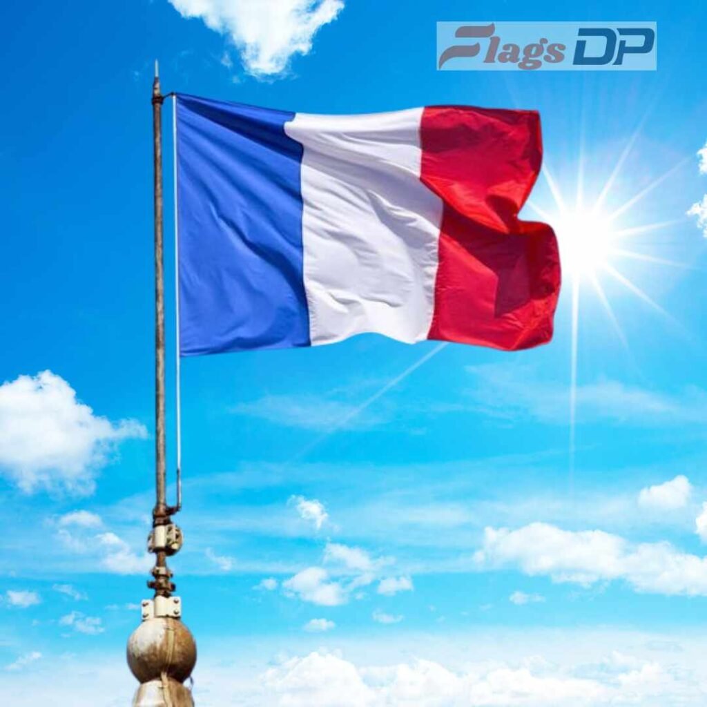 France Flag DP Pics