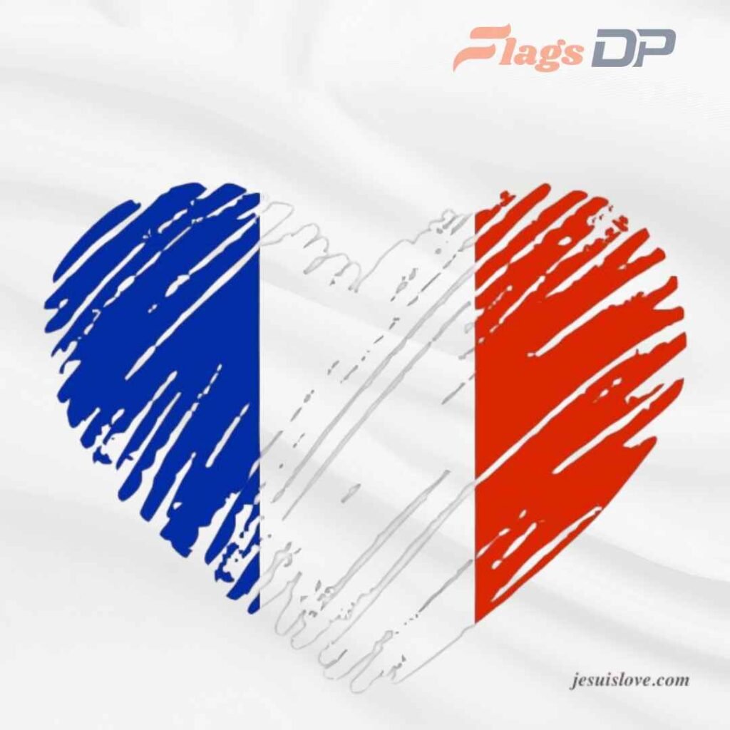 France Flag DP