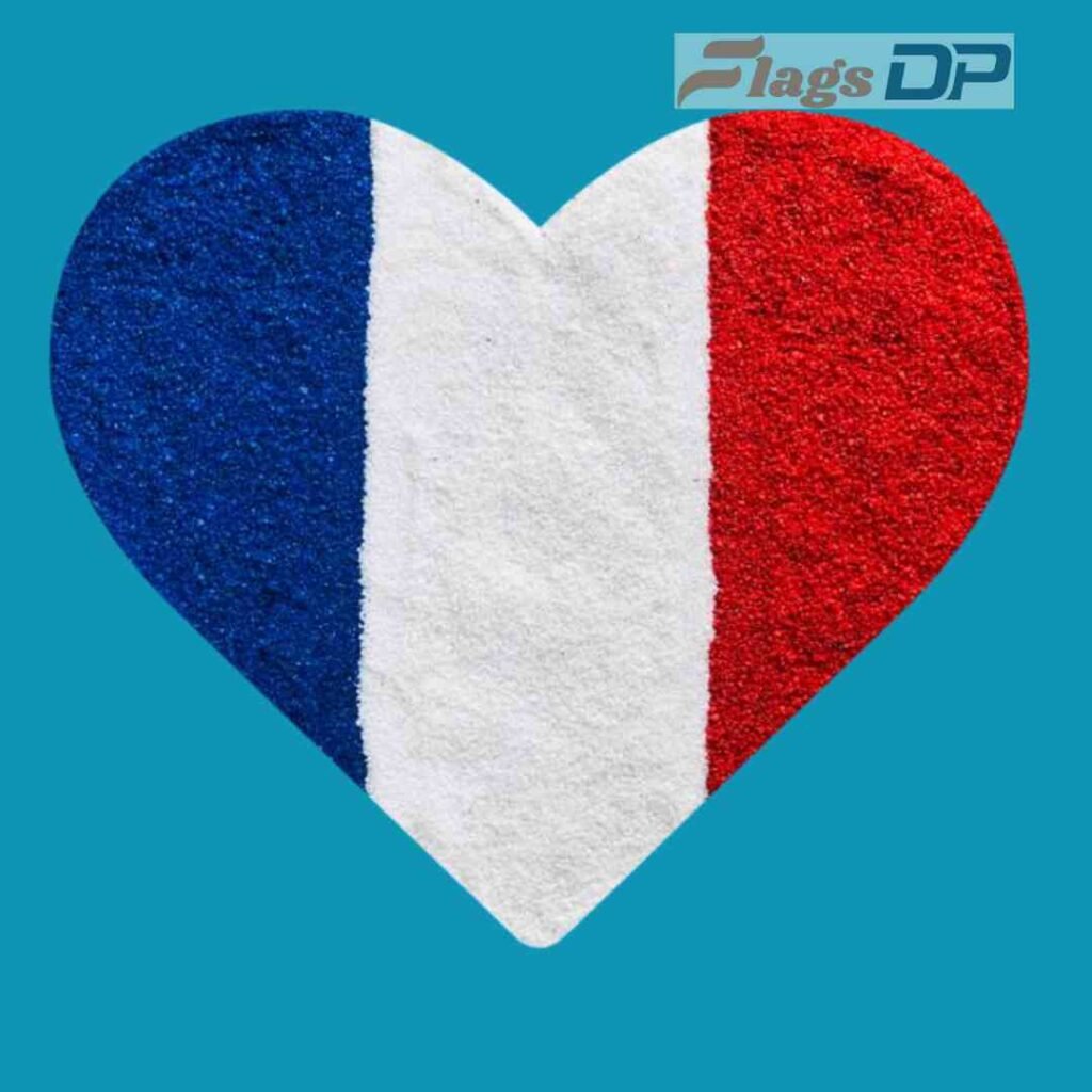 France Flag DP