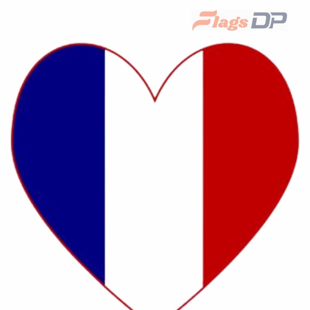 France Flag DP
