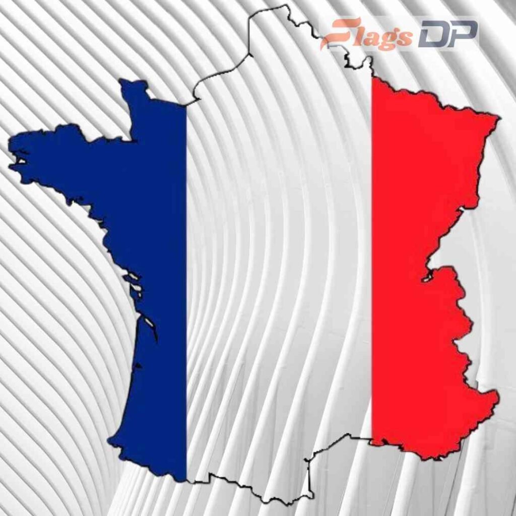 France Flag DP