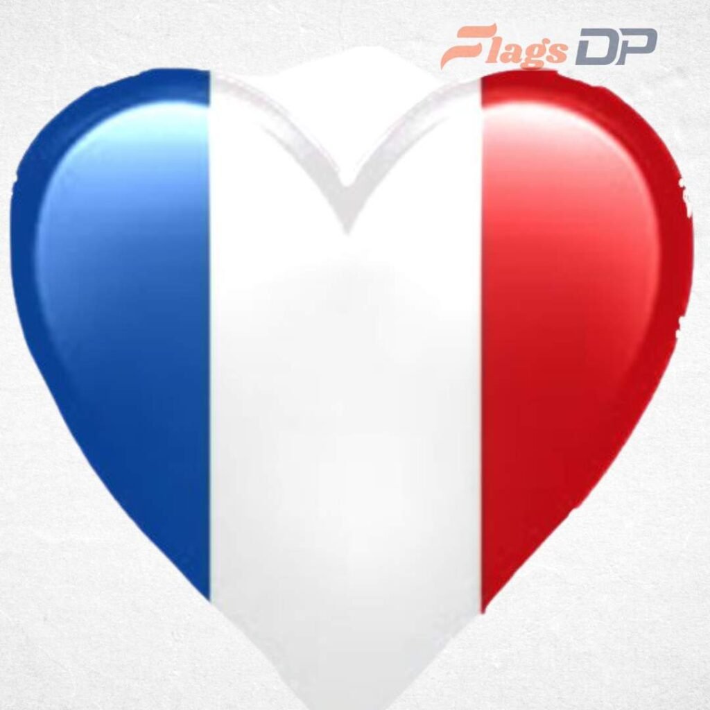 France Flag DP
