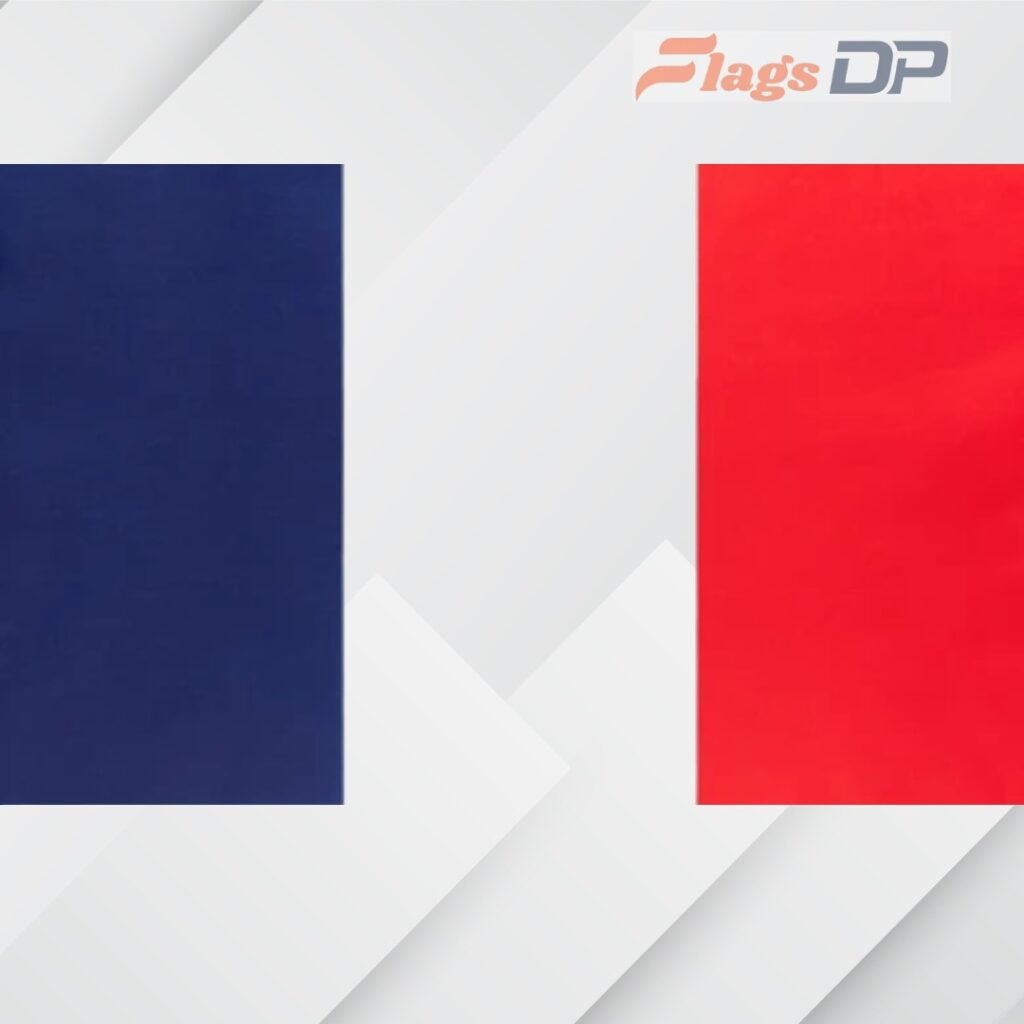 France Flag DP