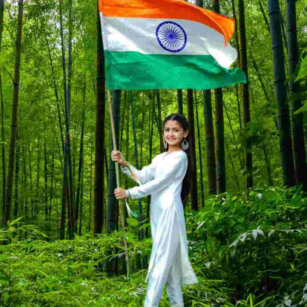 India Flag DP 