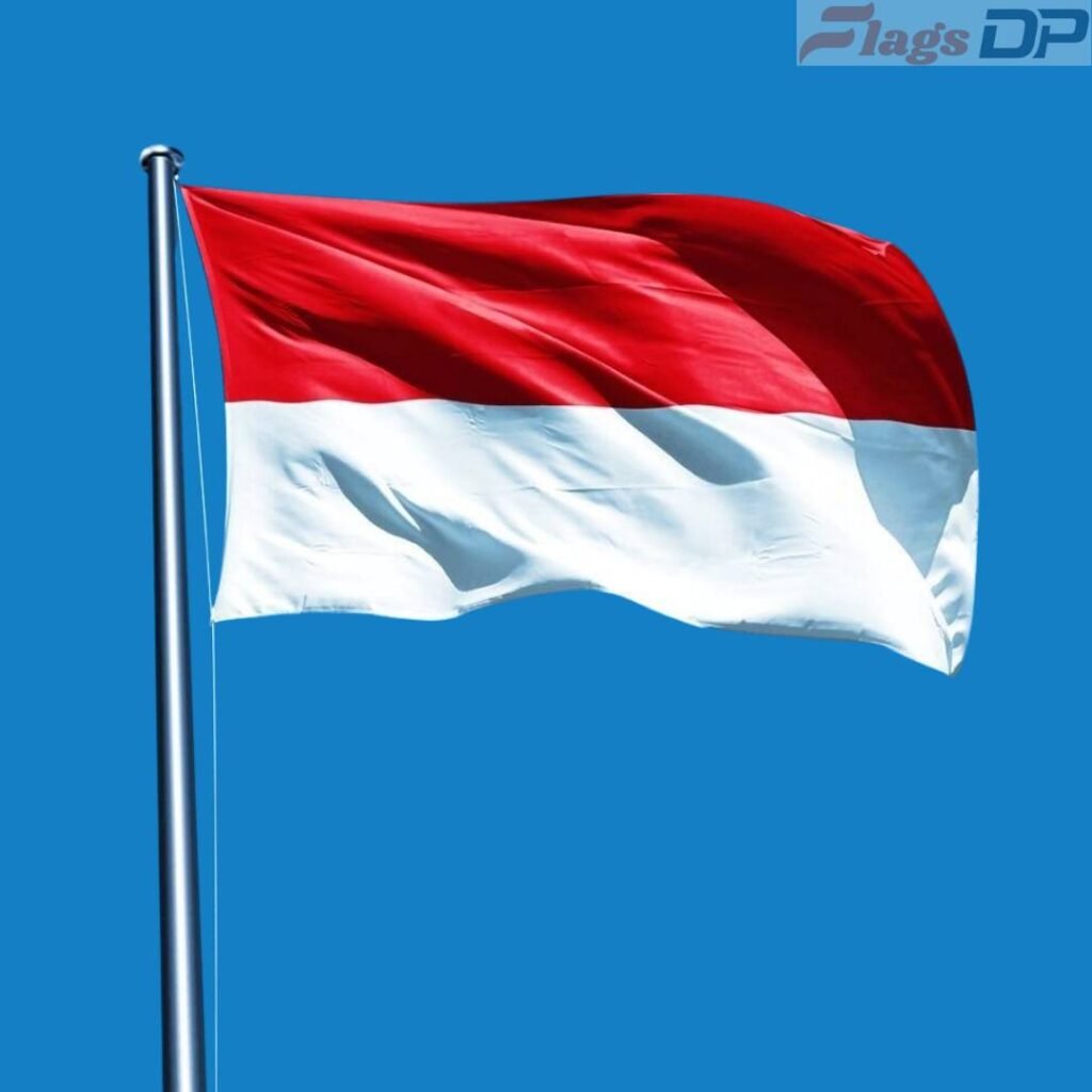 Indonesia Flag DP Photos