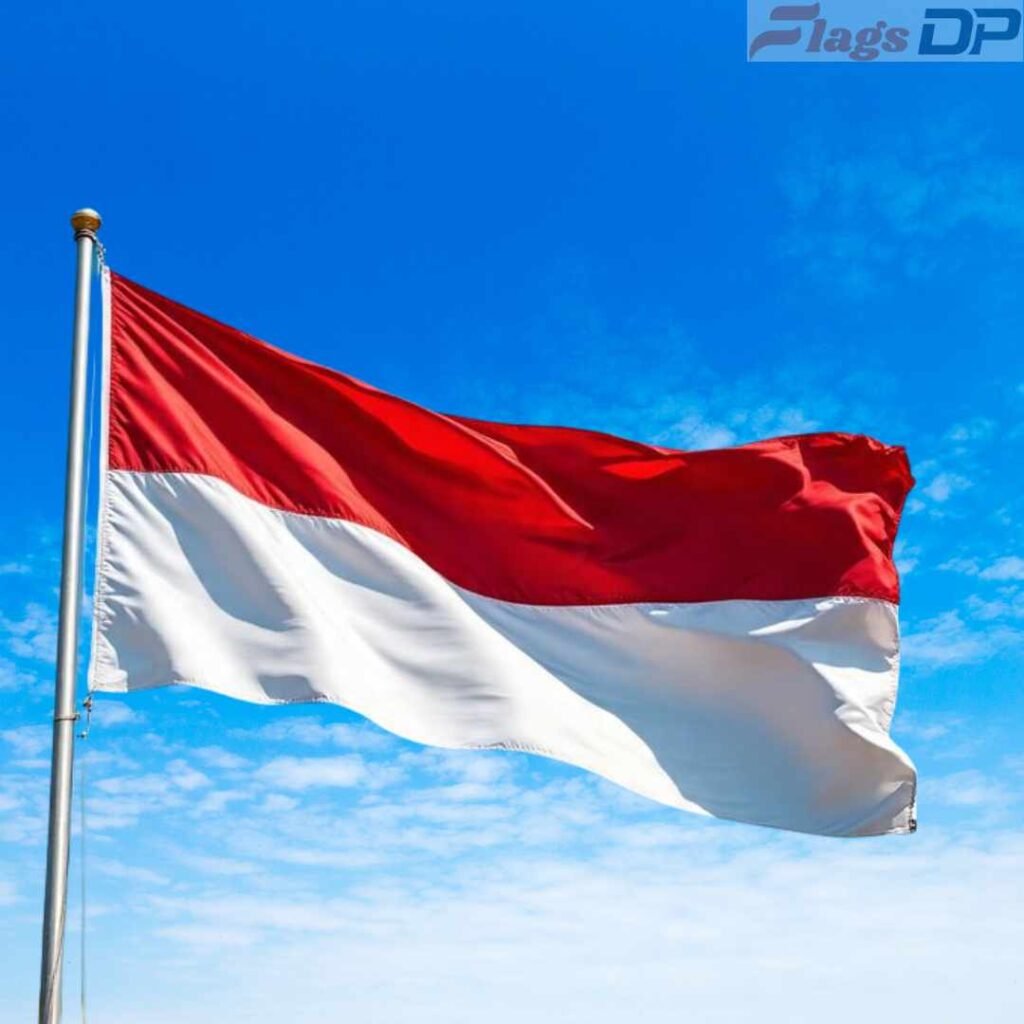 Indonesia Flag DP Pics