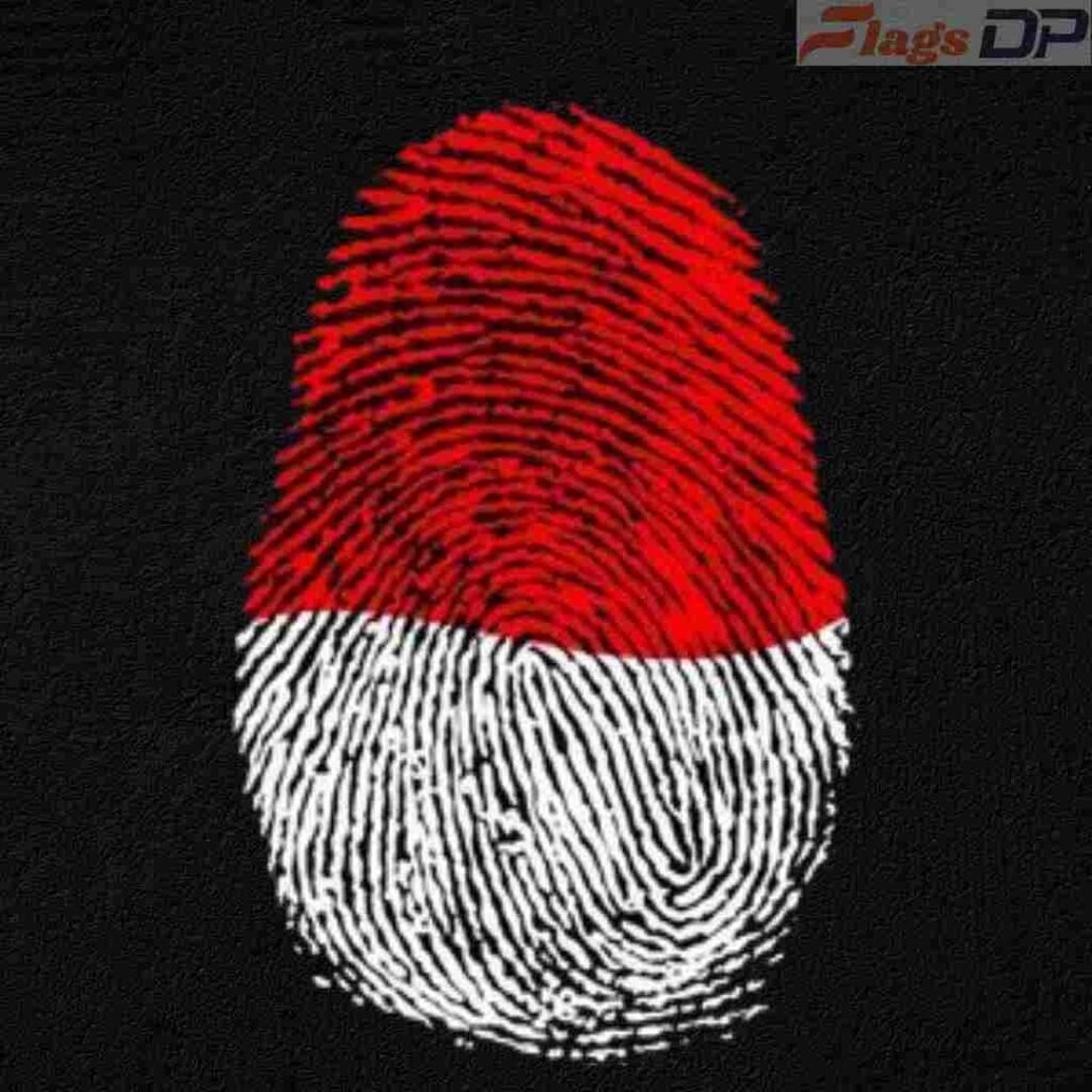 Indonesia Flag DP Pics