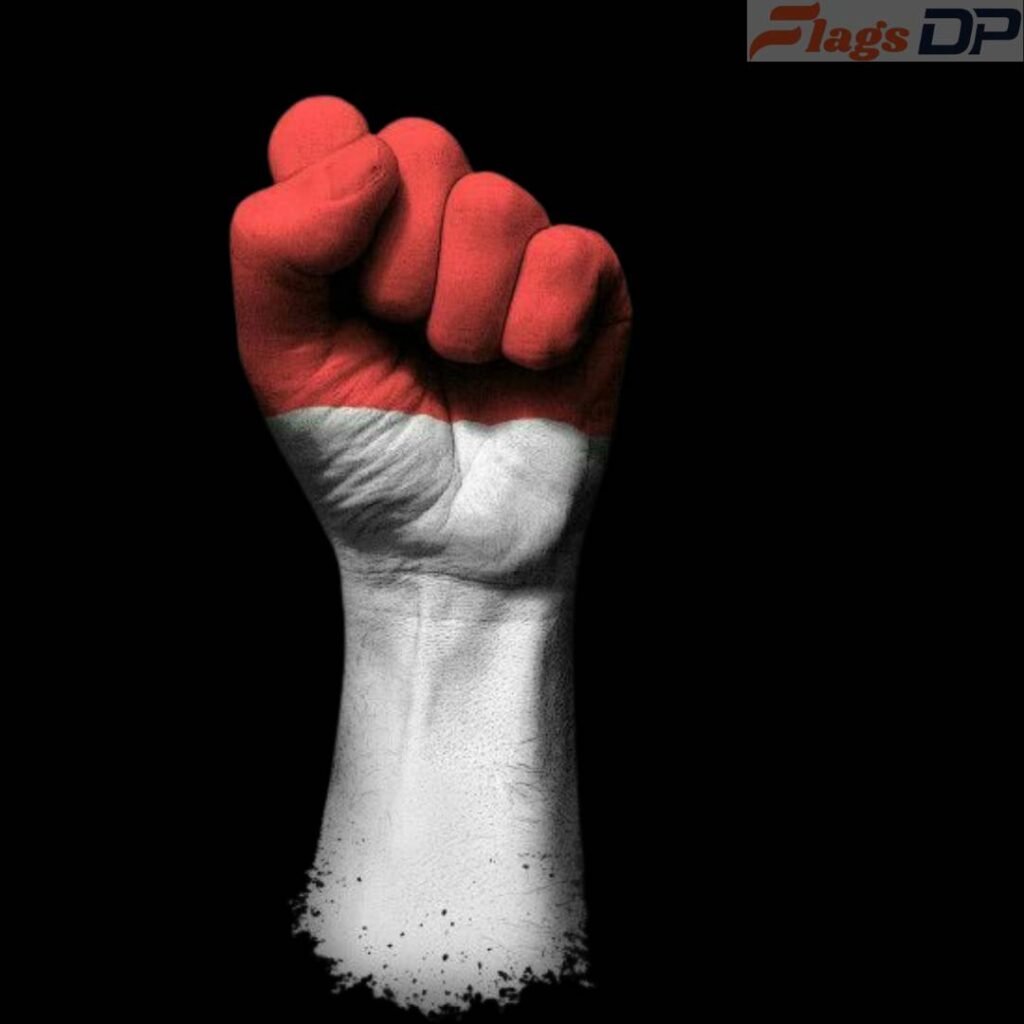 Indonesia Flag DP Photos