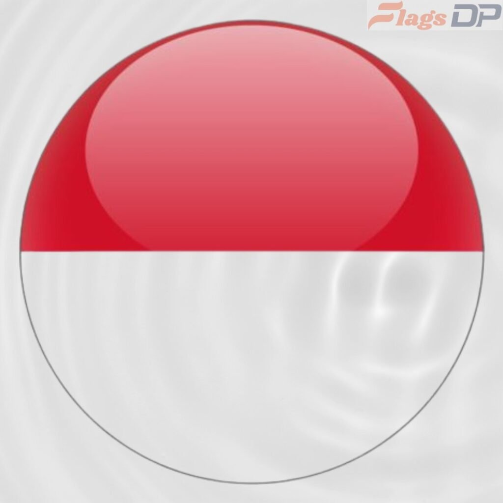 Indonesia Flag DP