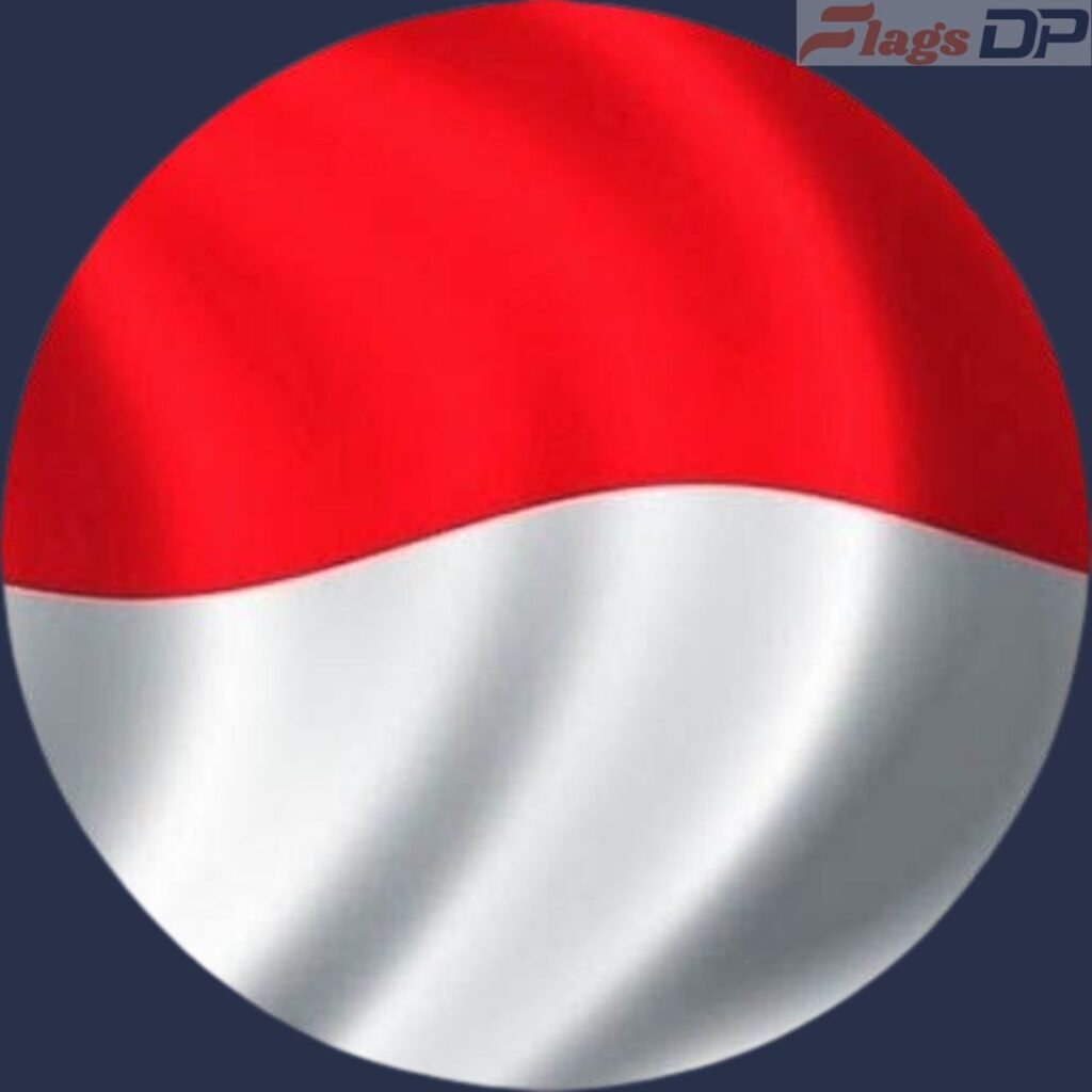 Indonesia Flag DP