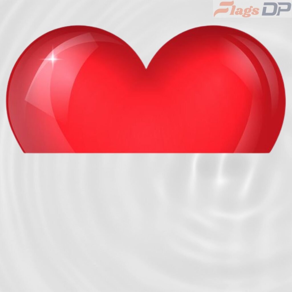Indonesia Flag DP