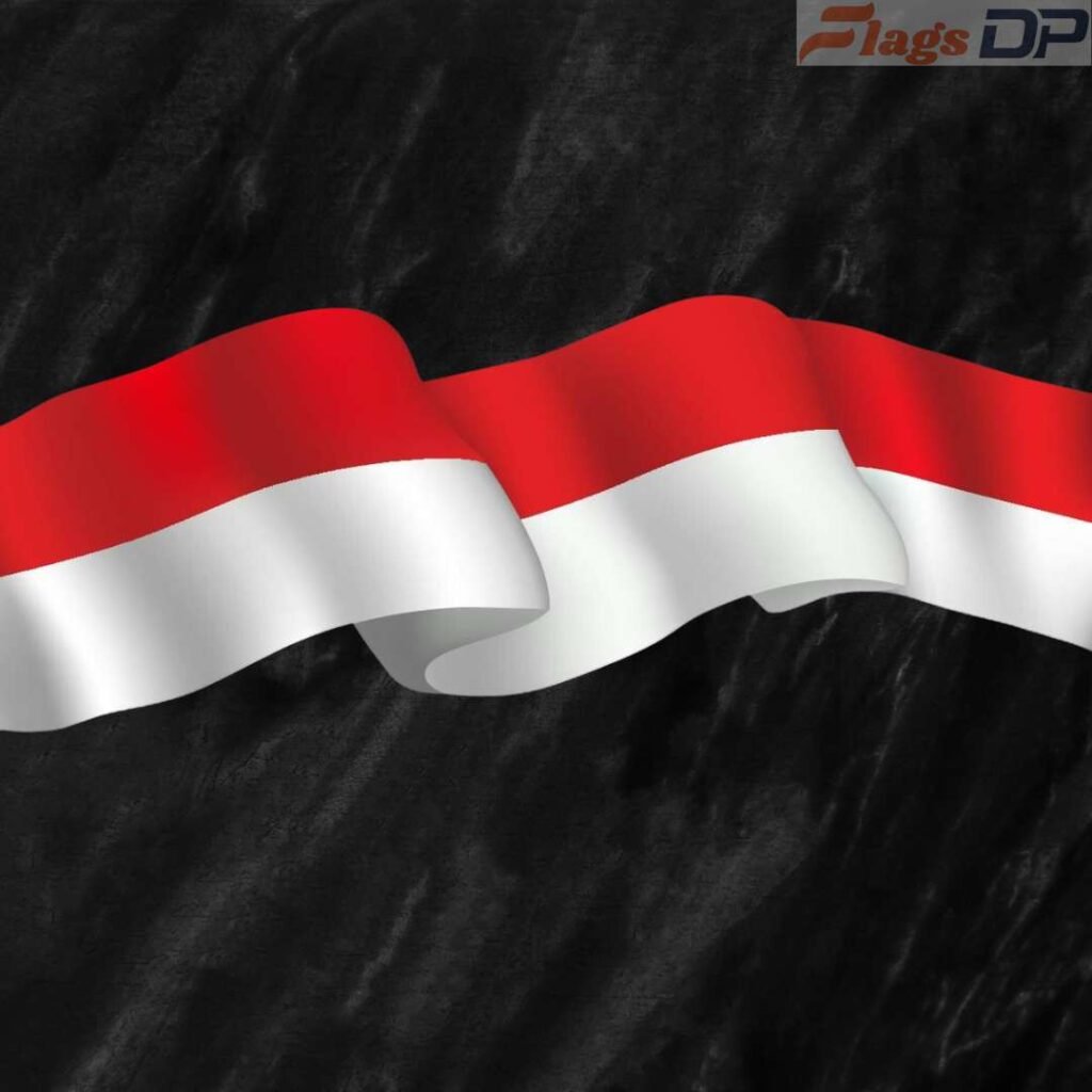 Indonesia Flag DP